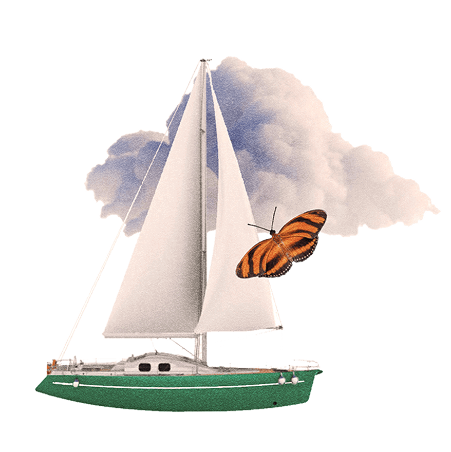 Sailboat illustration
